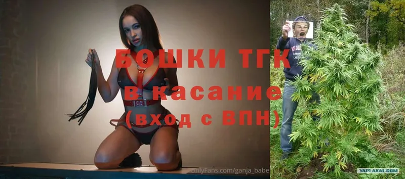 Конопля планчик  Саки 